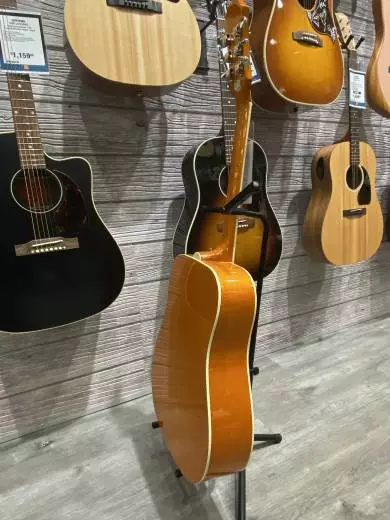 Epiphone - EEDVVBNH 2
